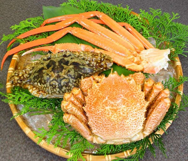 【埼玉県内発】 新春お年玉!ミステリーツアー3